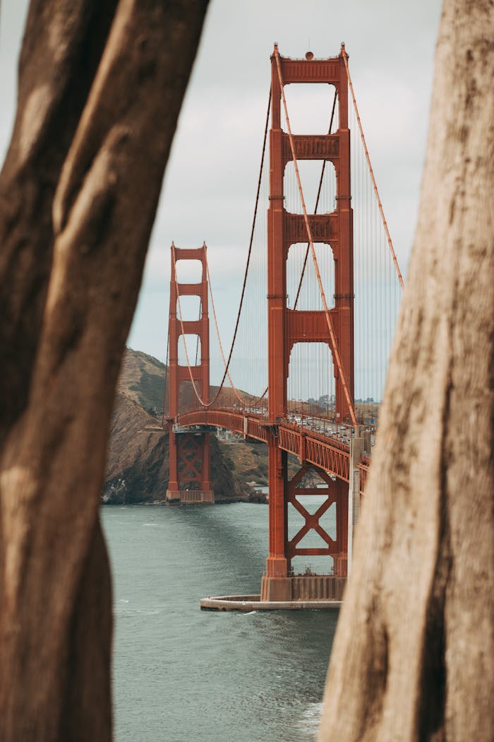 A scenic view of the iconic Golden Gate Bridge framed by trees on a cloudy day.